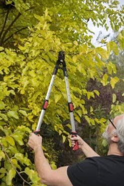 Kreator KRTGR4013 Telescopische Takkenschaar - 63-89 Cm Totale Lengte - . Ø39 Mm Knipdiameter -Tuingereedschap 800x1200 39