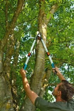 Gardena TeleCut Takkenschaar 650-900 B - Uitschuifbare Armen - Tot Max 90 Cm -Tuingereedschap 801x1200 1