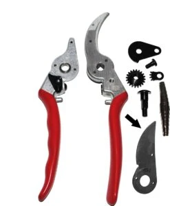 Felco 2 + GRATIS Felco Handschoenen In Cadeauverpakking -Tuingereedschap 987x1200