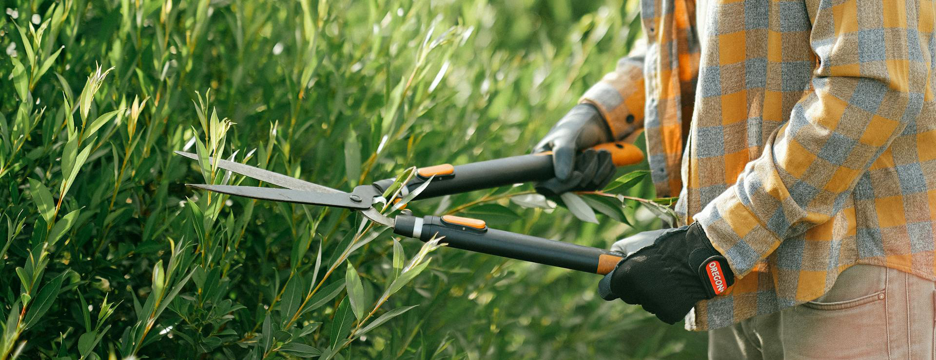 Tuingereedschap 1 Tuingereedschap -Tuingereedschap pexels shvetsa 5027619